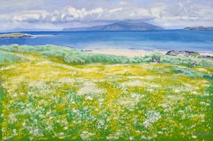 Machair, North End Iona, 2015 (óleo sobre tela) de Charles Simpson