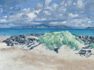 Rocks  Grasses, Iona, 2013 (óleo sobre tela) de Charles Simpson