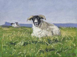 Ovelha da Costa Oeste, 2017 (óleo sobre tela)