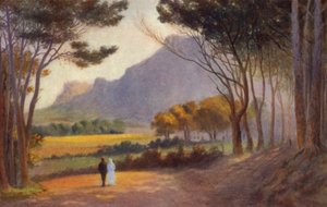 Península do Cabo, África do Sul: Alphen (cor litho) de Charles Stephen Meacham