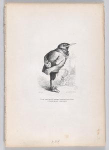 Velho, quebrado, abatido, caprichoso, mas bom, mas dedicado e doméstico por temperamento..., ca. 1837-47.
