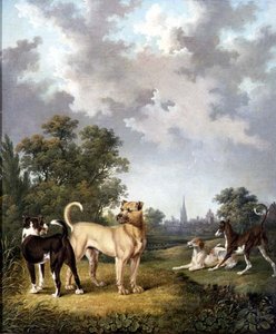Dogs in a Landscape, c.1820 (óleo sobre tela) de Charles Towne