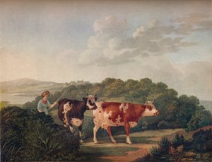 Paisagem inglesa, com gado Shorthorned, final do século XVIII-início do século XIX, 1930.