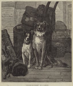 Estranhos e peregrinos de Charles Trevor Garland