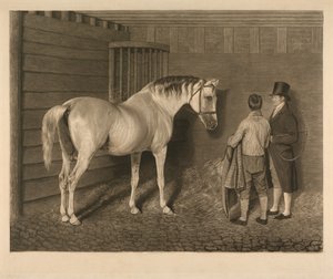 O Wellesley Arabian de Charles Turner