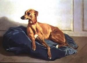 Estudo de um Cão de Caça