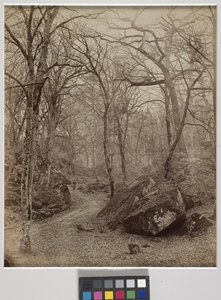 Fontainebleau, c.1870 (impressão de albumen) de Charles Victor Famin