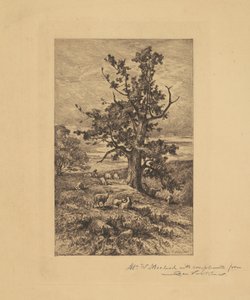 Paisagem com ovelhas de Charles Volkmar