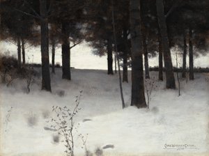 Bosques no inverno
