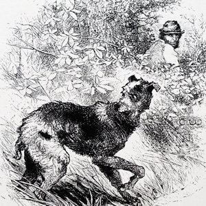 Um caçador furtivo com o seu lurcher de Charles Whymper