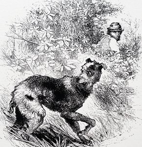 Um caçador furtivo com o seu lurcher de Charles Whymper