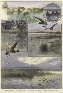 Tiro de pato em Long Point Island de Charles Whymper