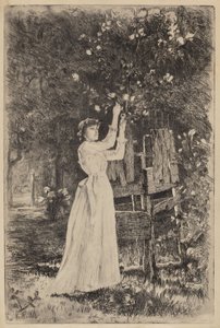 Sem título (Mulher Colhendo Flores)