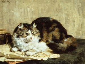 Um gato tabby de Charles van den Eycken