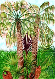 Barcelona Palms, 2017 (canetas) de Charlotte Orr
