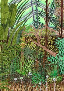 Jardim Botânico, 2017 (canetas)