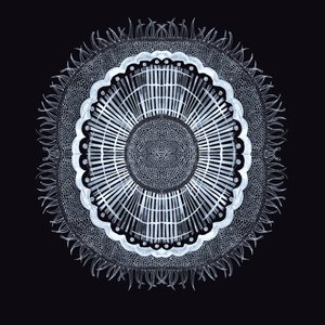 Plant Cell 0.2, 2019 (caneta e tinta) de Charlotte Orr