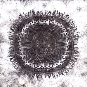 Células vegetais, 2019 (gravura de ponto seco)