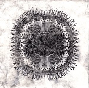 Células vegetais, 2019 (gravura de ponto seco)