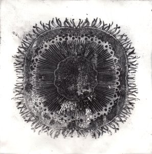 Células vegetais, 2019 (gravura de ponto seco) de Charlotte Orr
