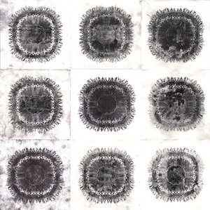 Células vegetais, 2019 (gravura de ponto seco) de Charlotte Orr