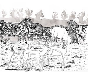 Safari 3, 2018 (tinta e aquarela) de Charlotte Orr