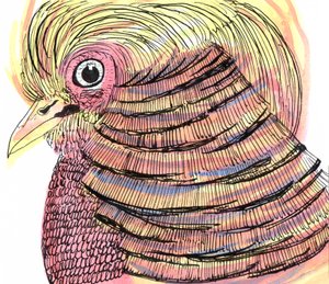 Tropical Bird, 2018 (caneta, tinta e aquarela) de Charlotte Orr