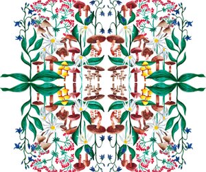 Plantas Selvagens, 2015 acrílico de Charlotte Orr