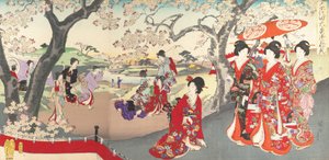 Álbum de Mulheres do Castelo de Chiyoda, 1895., 1895.