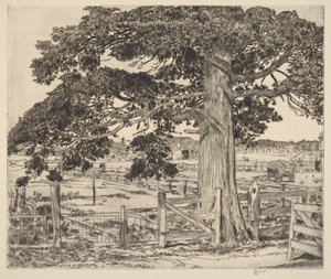  de Childe Hassam