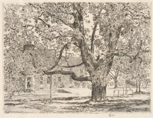 A grande castanheira-da-índia, Easthampton de Childe Hassam