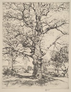  de Childe Hassam