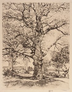 Pousada Wayside Oaks na primavera de Childe Hassam