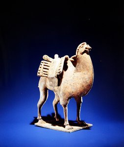 Camelo, de meados ao final do século 6, Dinastia Wei do Norte (386-534) - Qi do Norte (550-77) (louça de barro) (ver também 394829) de Chinese School