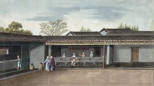 Folhas de chá de secagem (wc no papel) de Chinese School