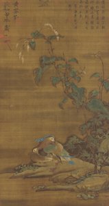 Mandarim patos sob smartweed, Dinastia Ming ou Qing, do século XV ao XVIII