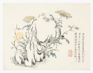 Jardim de Sementes de Mostarda de Chinese School