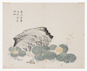 Jardim de Sementes de Mostarda de Chinese School