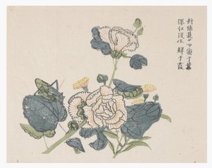 Jardim de Sementes de Mostarda de Chinese School