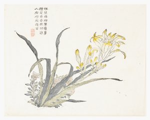 Jardim de Sementes de Mostarda de Chinese School