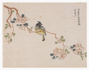 Jardim de Sementes de Mostarda de Chinese School