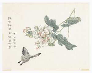 Jardim de Sementes de Mostarda de Chinese School