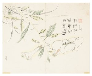 Jardim de Sementes de Mostarda de Chinese School
