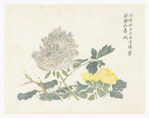 Jardim de Sementes de Mostarda de Chinese School