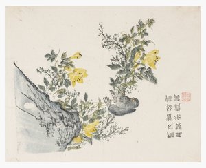 Jardim de Sementes de Mostarda de Chinese School