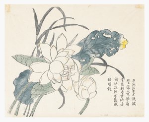 Jardim de Sementes de Mostarda de Chinese School