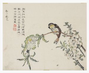 Jardim de Sementes de Mostarda de Chinese School
