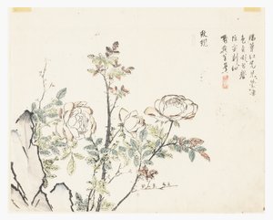Jardim de sementes de mostarda de Chinese School
