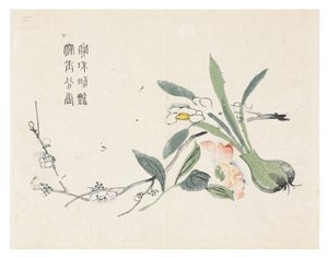 Jardim de sementes de mostarda de Chinese School