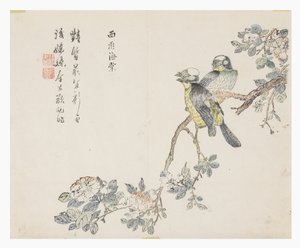 Jardim de sementes de mostarda de Chinese School